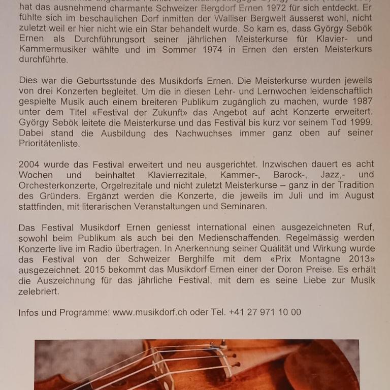 Wohnung mit schöner Sicht auf Bergpanorama und übers Tal - Apartment mit 1 Schlafzimmer - 28