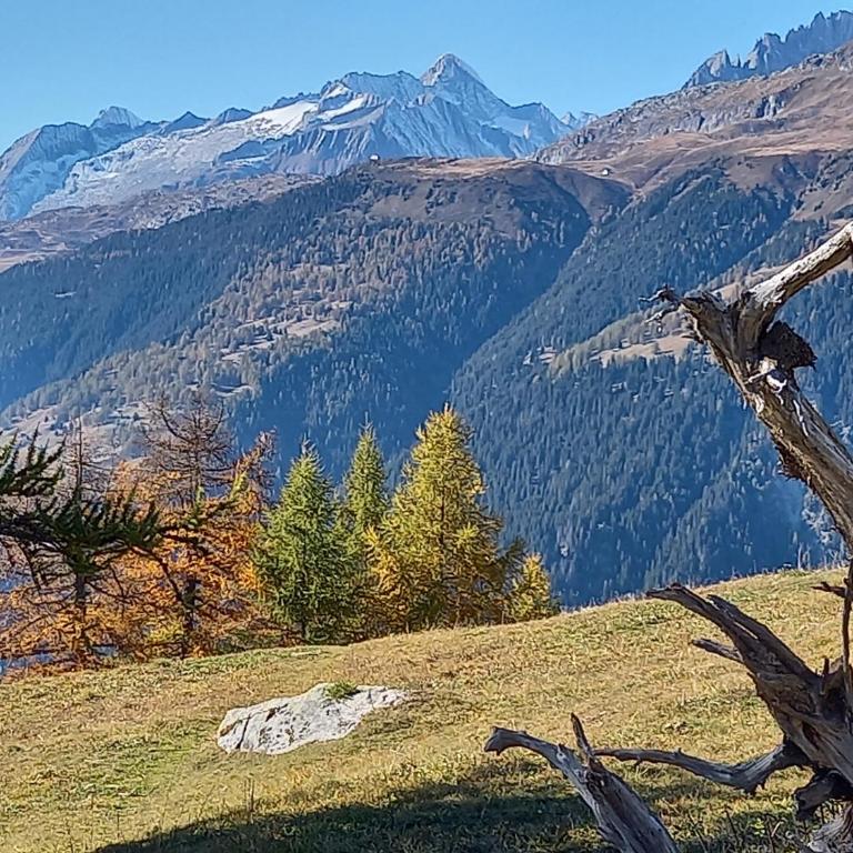 Wohnung mit schöner Sicht auf Bergpanorama und übers Tal - Apartment mit 1 Schlafzimmer - 38