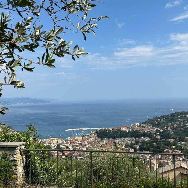 House of Charme - Villa - 11