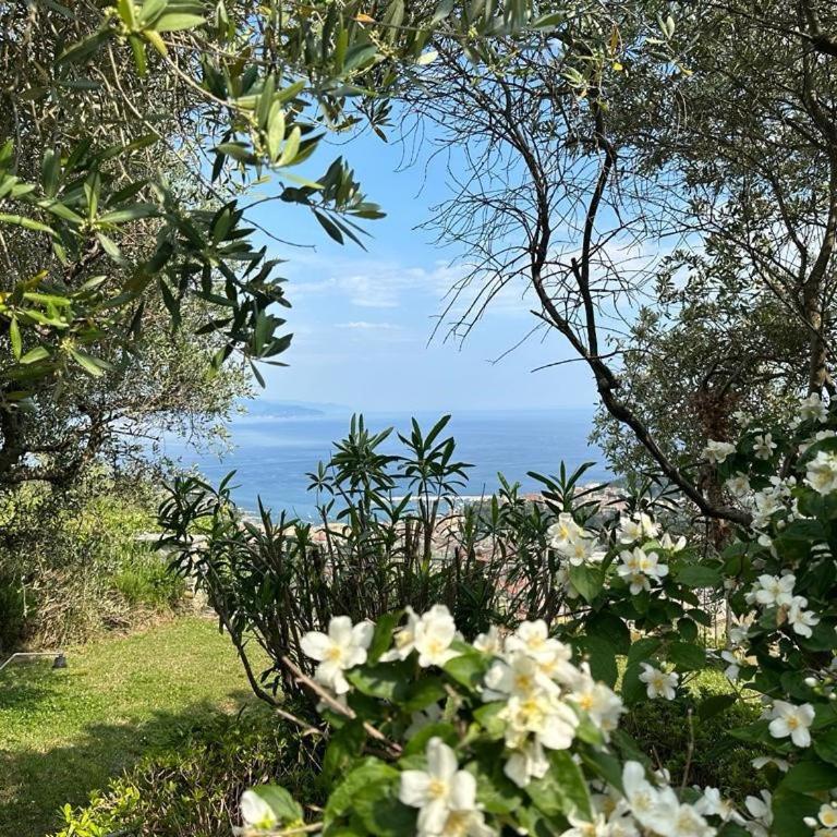 House of Charme - Villa - 31