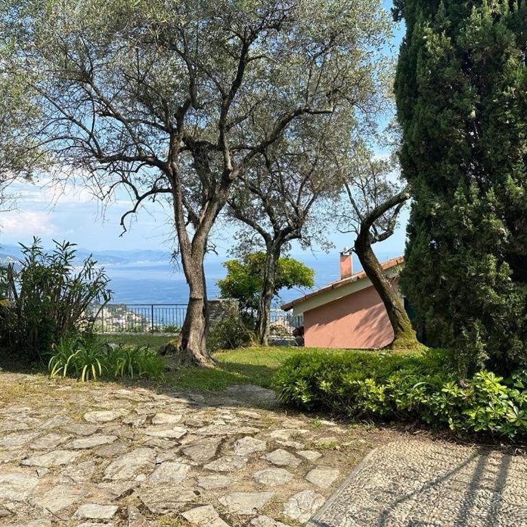 House of Charme - Villa - 43