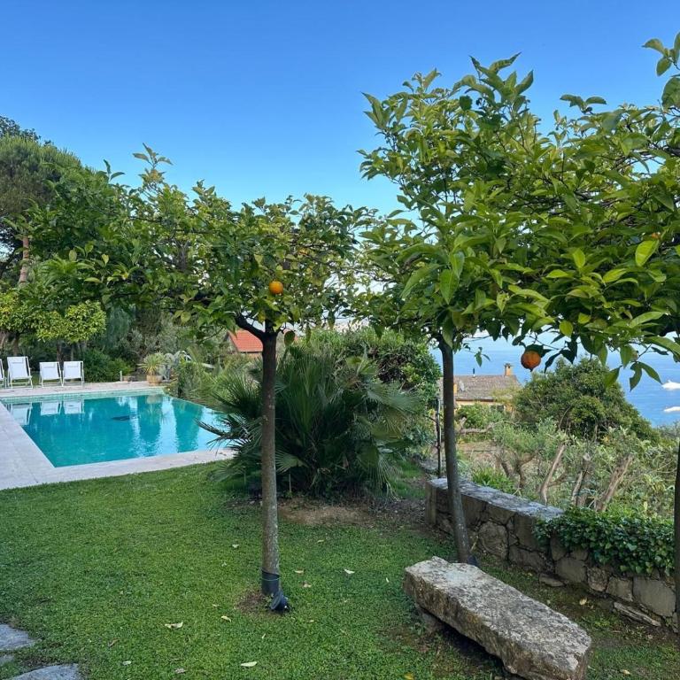 House of Charme - Villa - 46