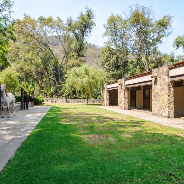 El Salto, Luxury Ranch with Lake View - Villa - 42