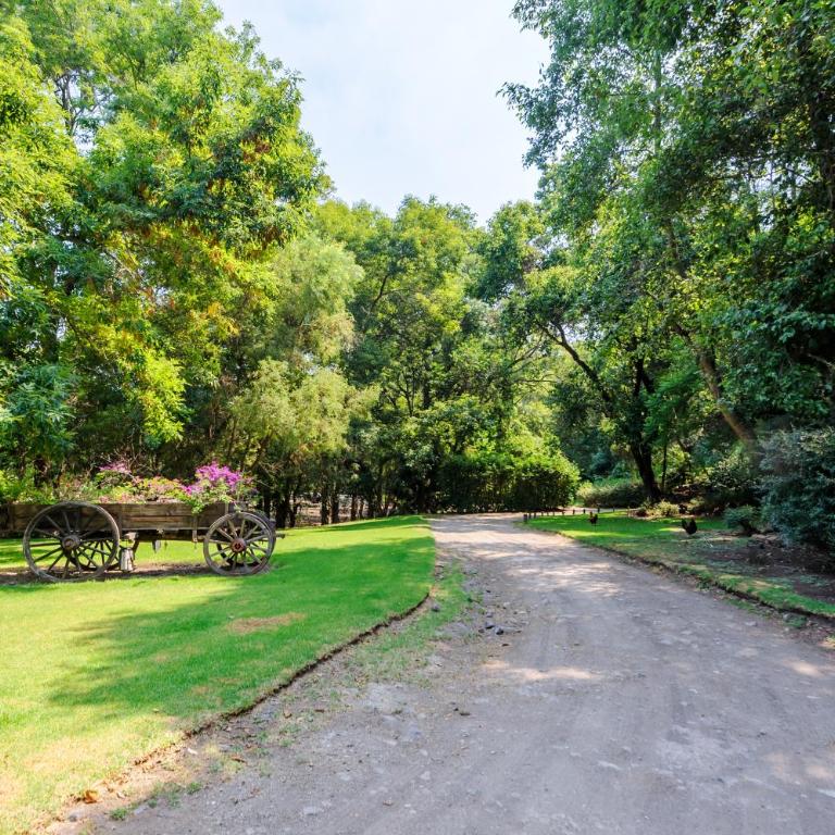 El Salto, Luxury Ranch with Lake View - Villa - 40