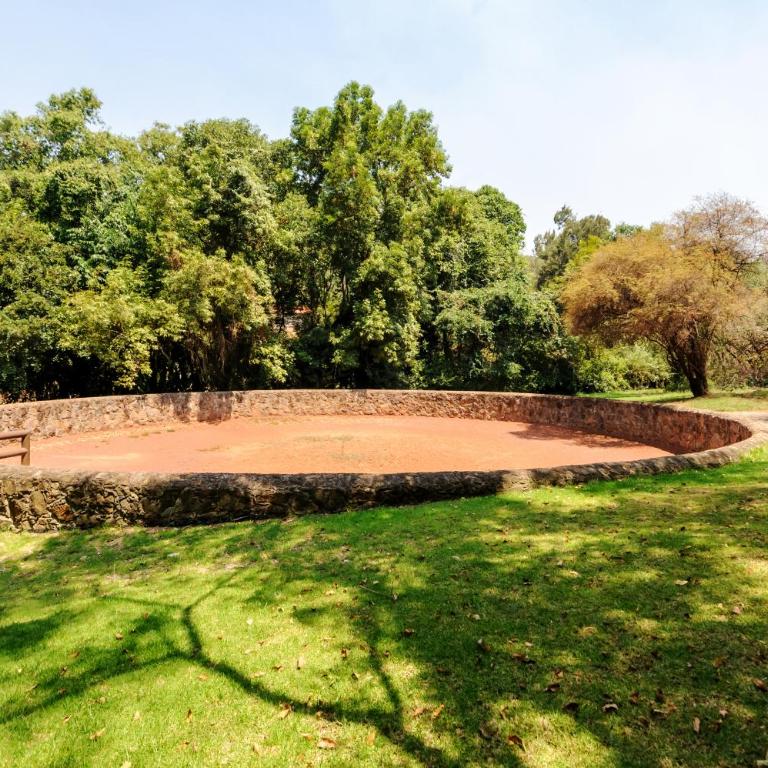 El Salto, Luxury Ranch with Lake View - Villa - 47