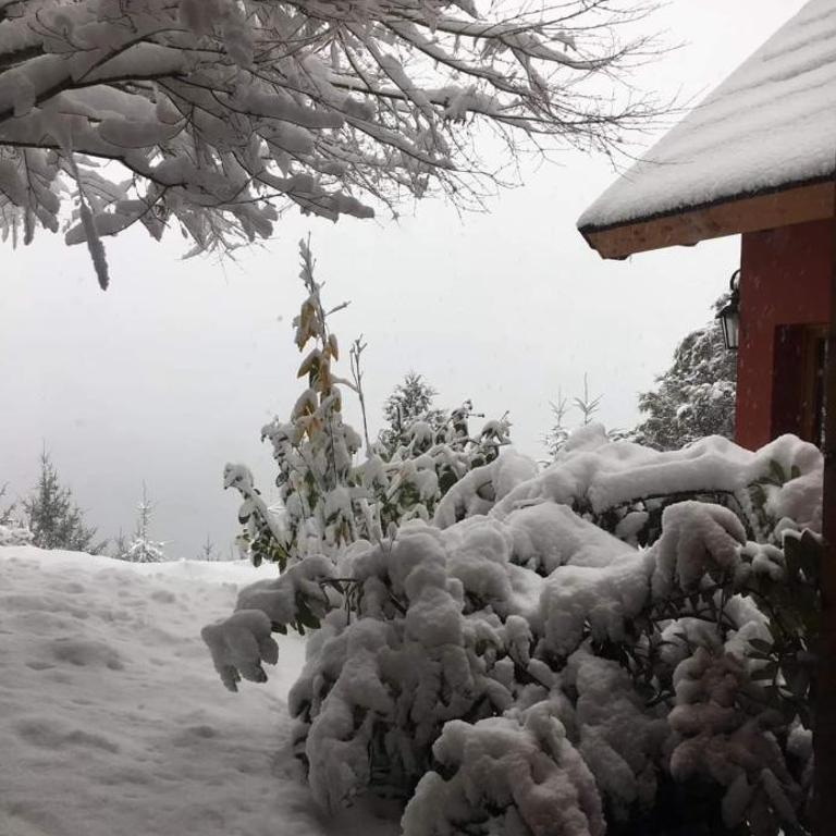 Lago Azul Bariloche - Vacation Home - 4