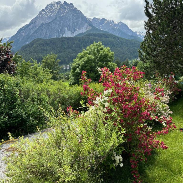 Chasa Tusa Scuol - Apartment mit Blick auf die Berge - 24