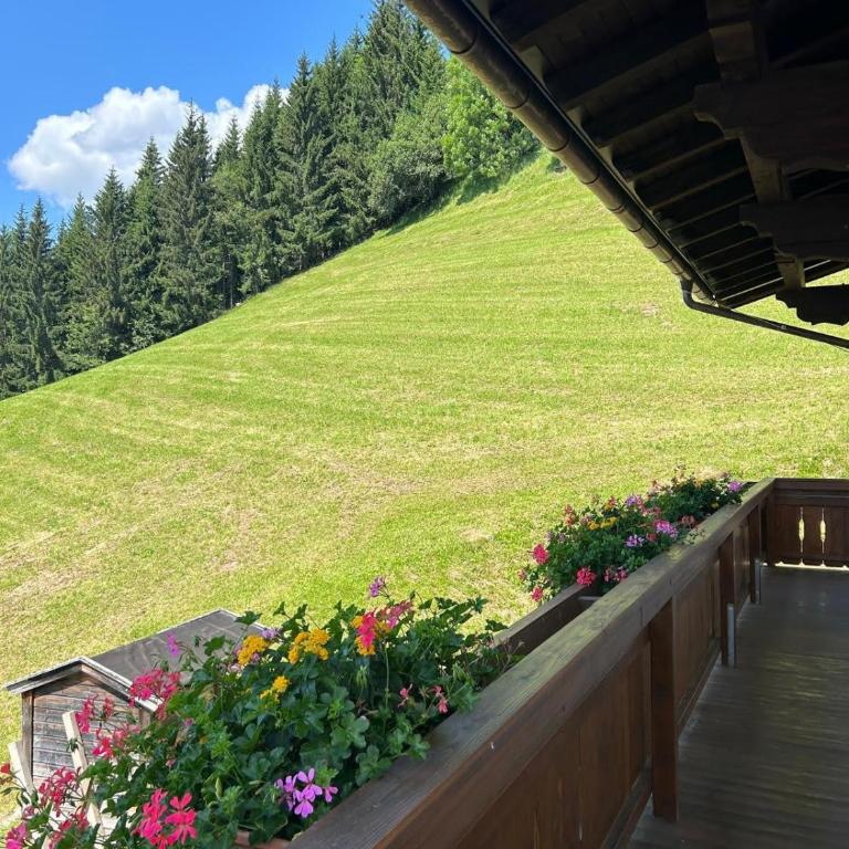 Sonnseit`n Hochmaisalm - Apartment mit 1 Schlafzimmer - 16