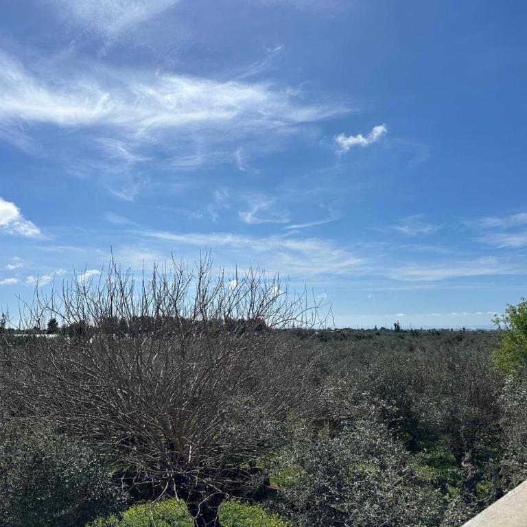 Casa amunì - Villa con 2 Camere da Letto - 25