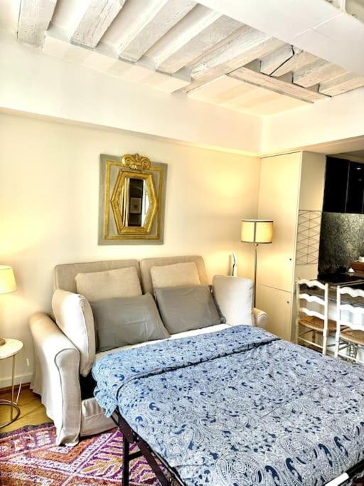 Beautiful flat in Saint-Germain - Appartamento con 1 Camera da Letto - 4