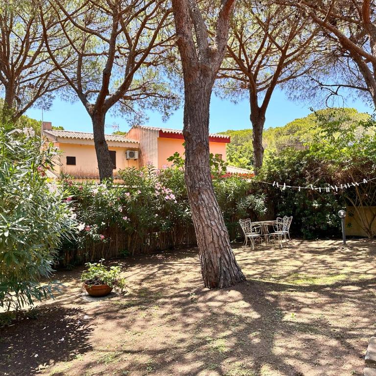 Blue shutters by the beach, Access to private beach - Casa con 3 Camere da Letto - 54