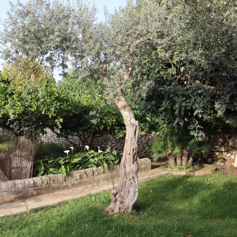 Sabbinirica Vacation House - Haus mit 3 Schlafzimmern - 6