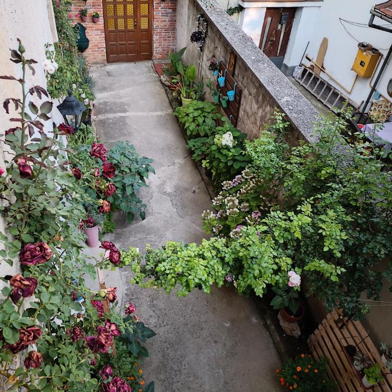 ABAGuesthouse - Two-Bedroom Apartment with City View - 3
