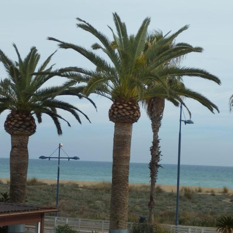 1a Línea de mar avenida Papa Luna Parking gratuito - Apartamento de 1 dormitorio - 1