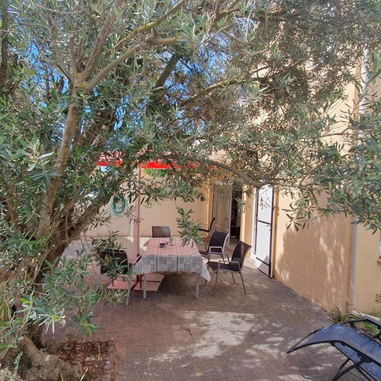 Appartement et vaste terrasse à 30 m des dunes - Apartment mit 2 Schlafzimmern - 3