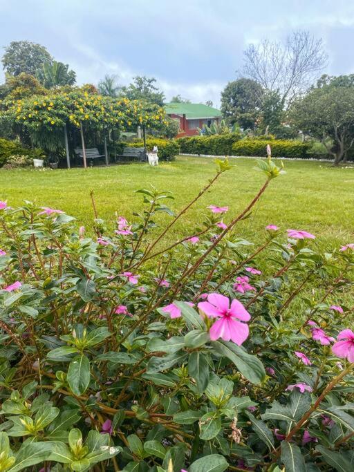 Hermosa finca en Chinauta - Casa de 3 dormitorios - 3