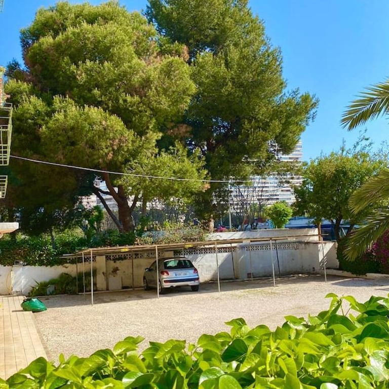 Apto al lado de la playa, 1 dormitorio, parking - Apartamento de 1 dormitorio - 16