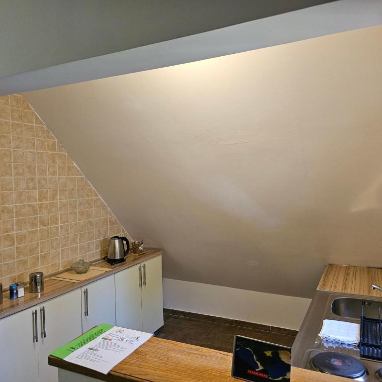 Gorska Vila Apartments - Loft - 10