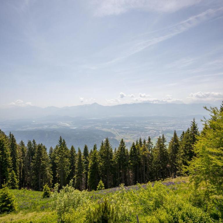 MOOKI Mountain & Pool Gerlitzen Apartment - Apartment mit Blick auf die Berge - 21