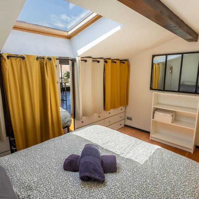 Roof Top in Center of Toulouse-Free Parking- - Two-Bedroom Apartment - 3