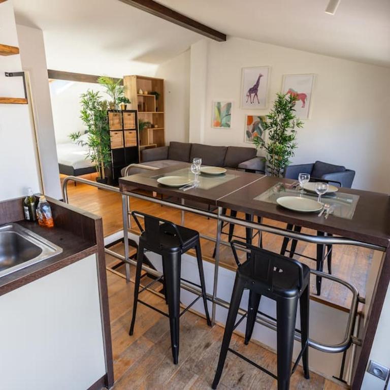Roof Top in Center of Toulouse-Free Parking- - Two-Bedroom Apartment - 6