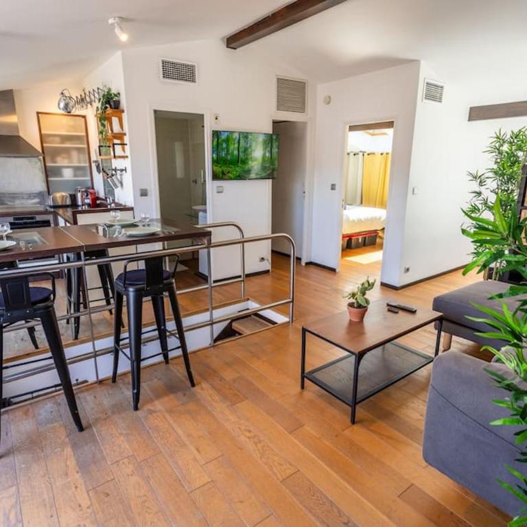 Roof Top in Center of Toulouse-Free Parking- - Two-Bedroom Apartment - 11