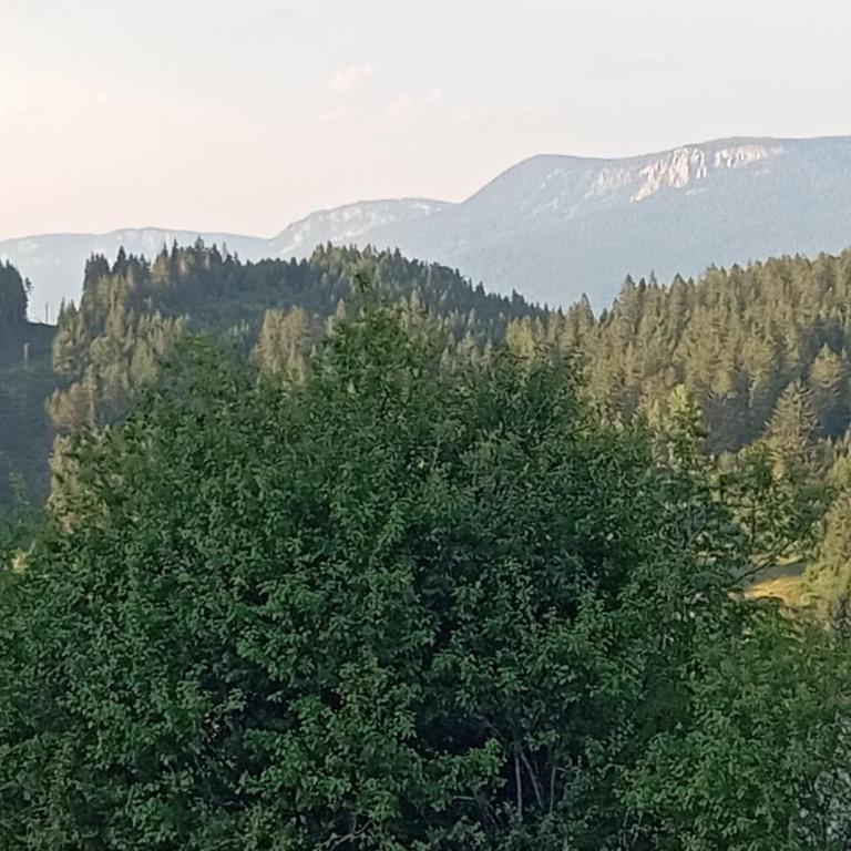 Planinska Kuca "KABLAR" Jahorina - One-Bedroom Apartment - 18