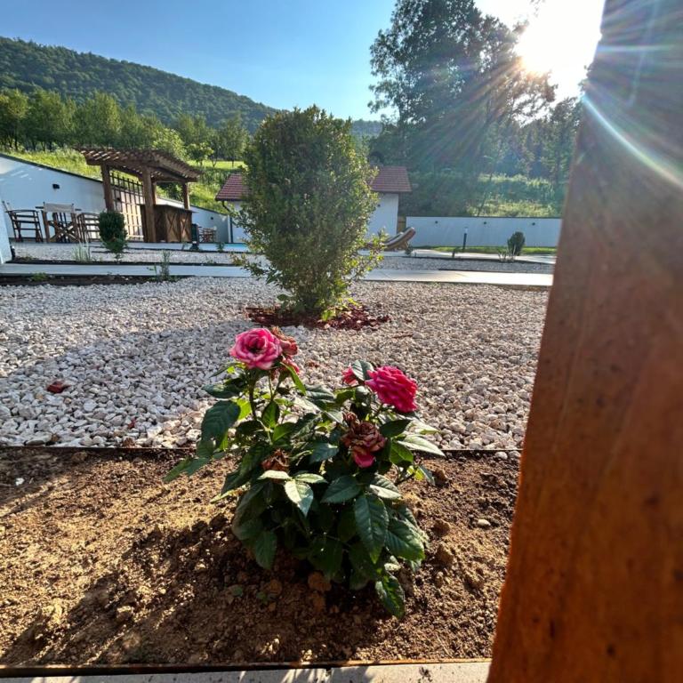 Romantic Lodge -Private Swimm-Spa - Vila - 72