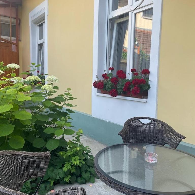 Apartment Milijana - Apartment - 3