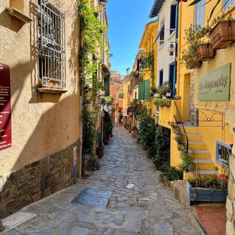 Appartement Collioure, grande terrasse et parking - Apartamento de 2 dormitorios - 12