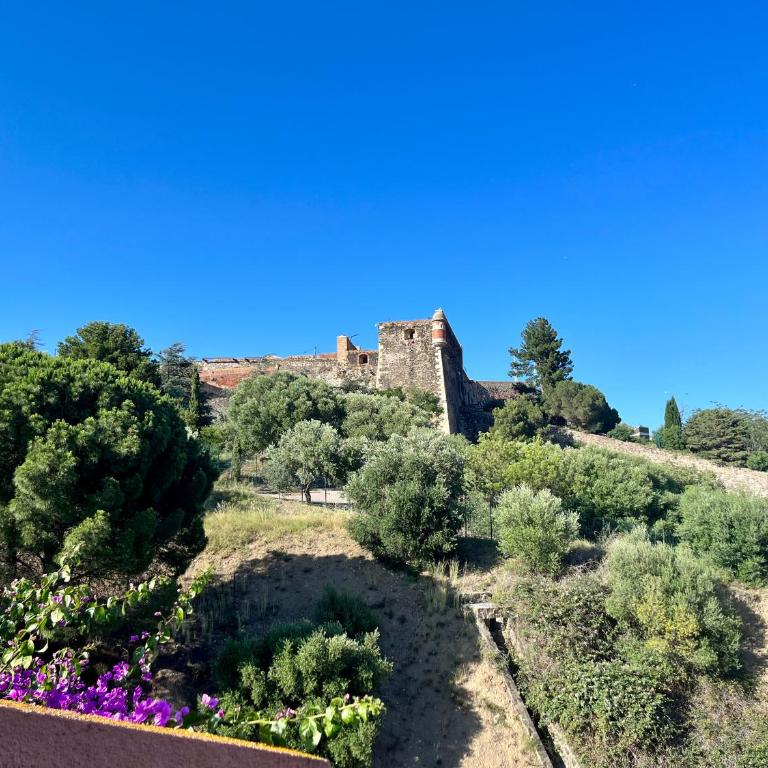 Appartement Collioure, grande terrasse et parking - Apartamento de 2 dormitorios - 13