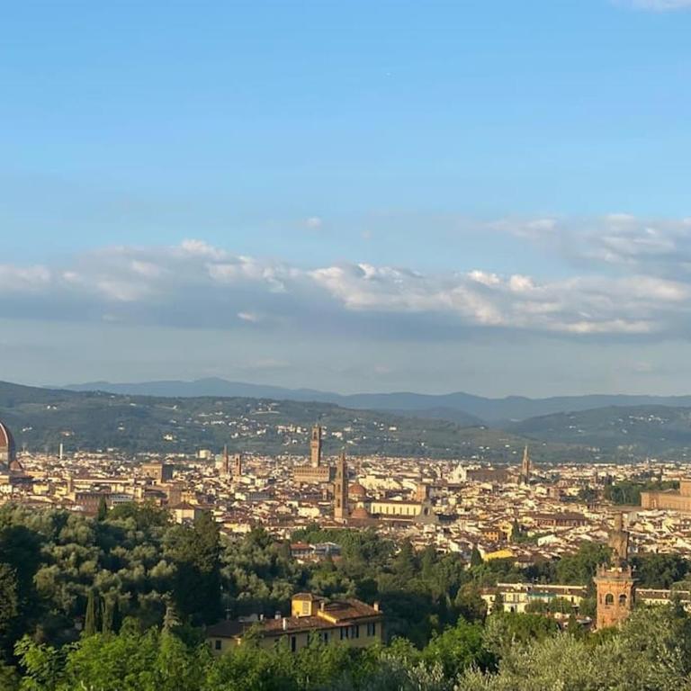 Bellosguardo Hill Apartment - Florence - One-Bedroom Apartment - 26