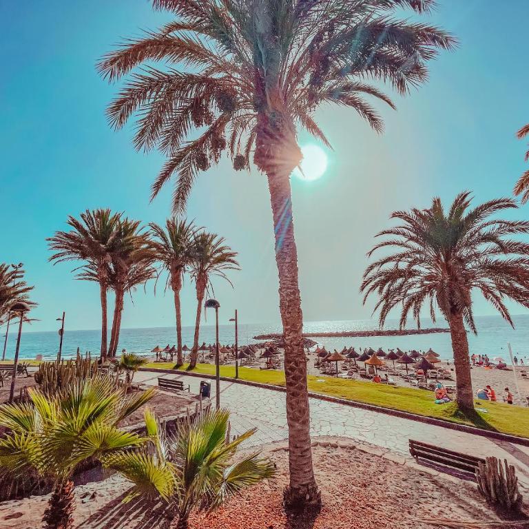 Ocean View! Parque Las Americas! Heated Pool, AC! LA05 - Apartamento de 1 dormitorio - 1