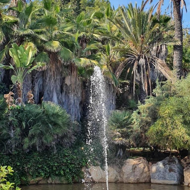 Central & Spacious Miraflores Alicante - High Rated - Standard Apartment - 17