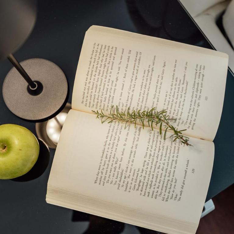 Villa Swisslion - Deluxe Villa - 2