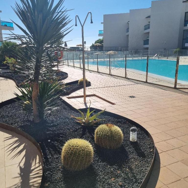 El Cotillo Sonando/Stylish/Minutes from swim or surf/Well equipped - One-Bedroom Apartment - 78