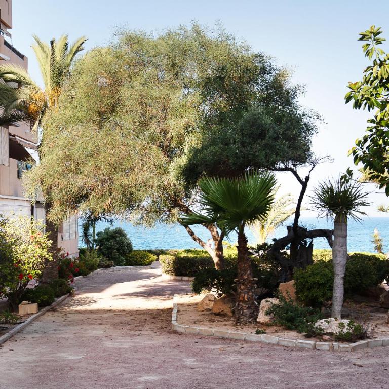 Maison Miramar Cabo Cervera - Apartamento de 2 dormitorios - 35