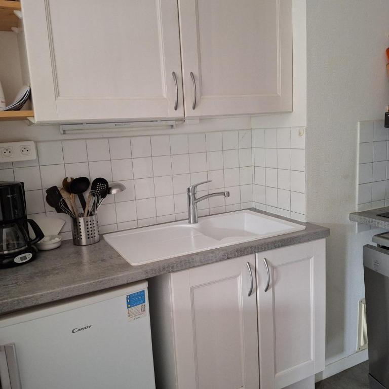 Studio 2 pers avec balcon, centre Brides-les-Bains, animaux et parking, wifi inclus - Studio - 9
