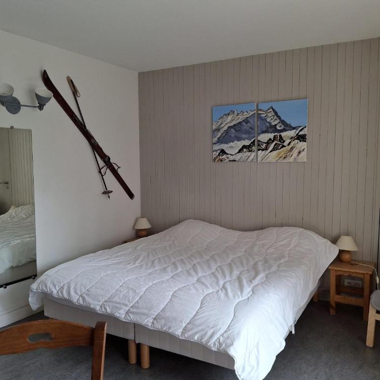 Studio 2 pers avec balcon, centre Brides-les-Bains, animaux et parking, wifi inclus - Studio - 10