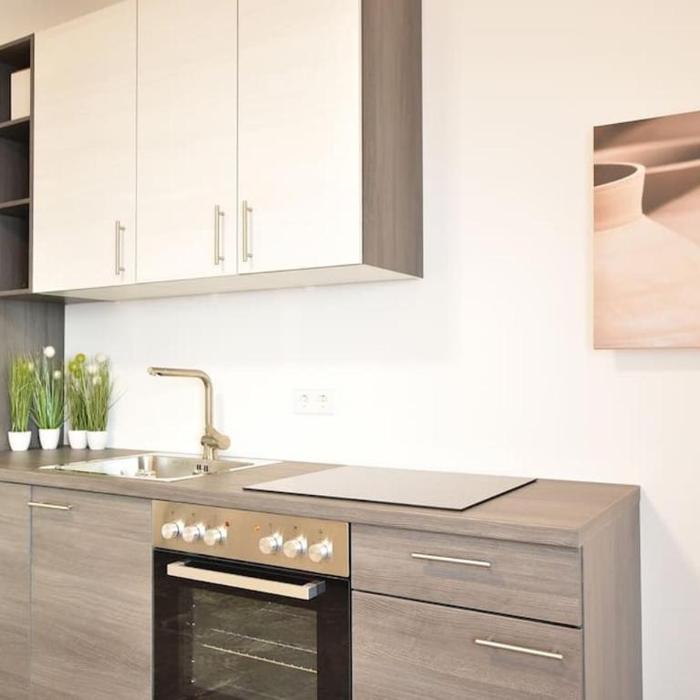 Cosy new apartment in calm area near merano - Appartamento con 1 Camera da Letto - 5