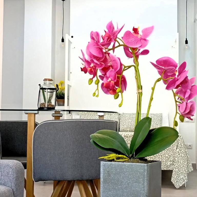 La Luz de Málaga C - Apartamento de 1 dormitorio - 10
