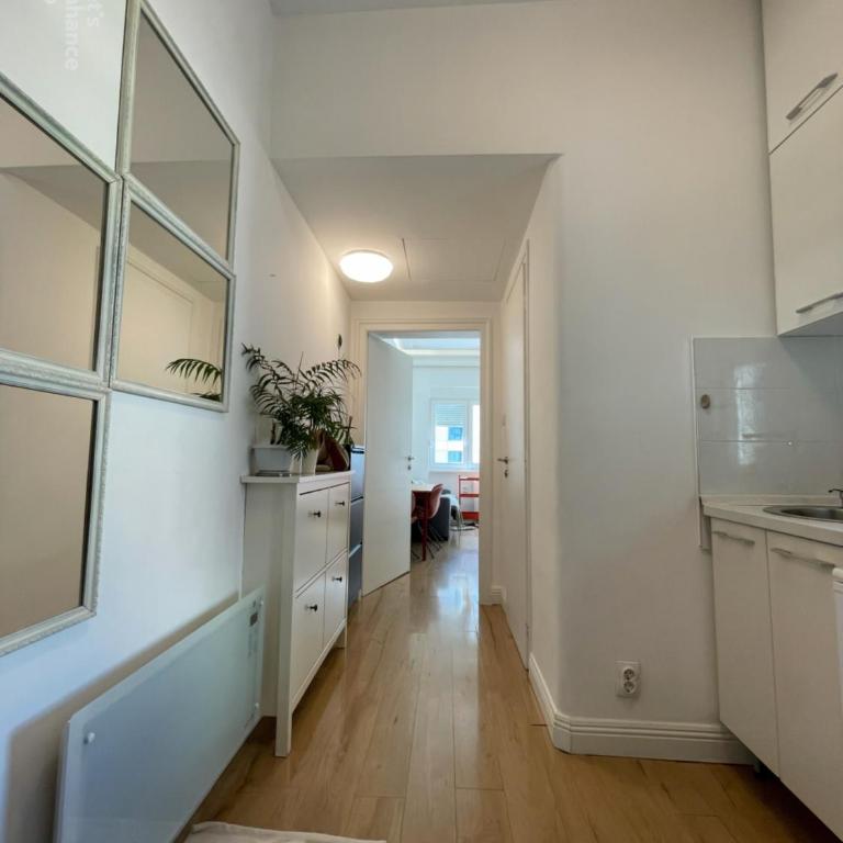 Njegoseva, Hilton, new apartment in center - Apartman sa 1 Spavaćom Sobom - 11