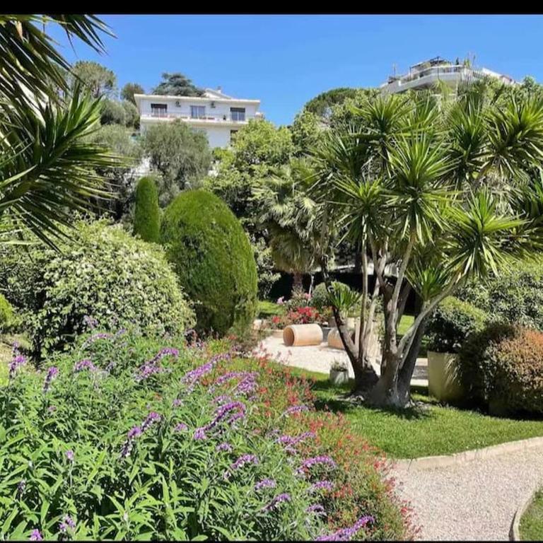 Magnificent 3 Rooms-Sea View-Terrace-Pool - Appartement 2 Chambres - 23