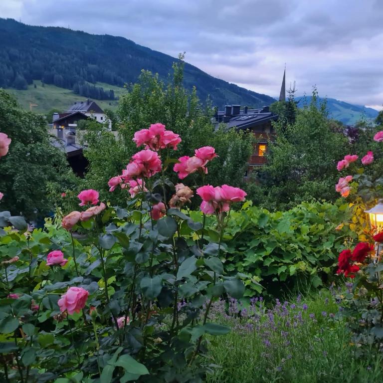 Landhaus Antonia - Apartment mit 3 Schlafzimmern und Bergblick - 9