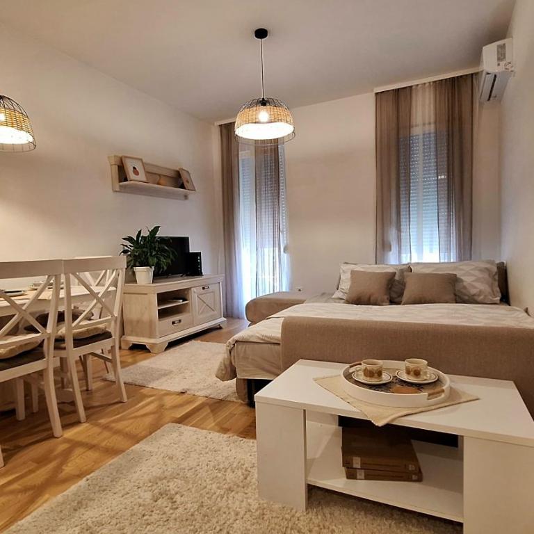 Podgorica apartment - Deluxe Studio - 16