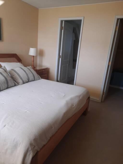 Exclusivo departamento La Puntilla Villarrica - Apartamento - 2 niveles - 28