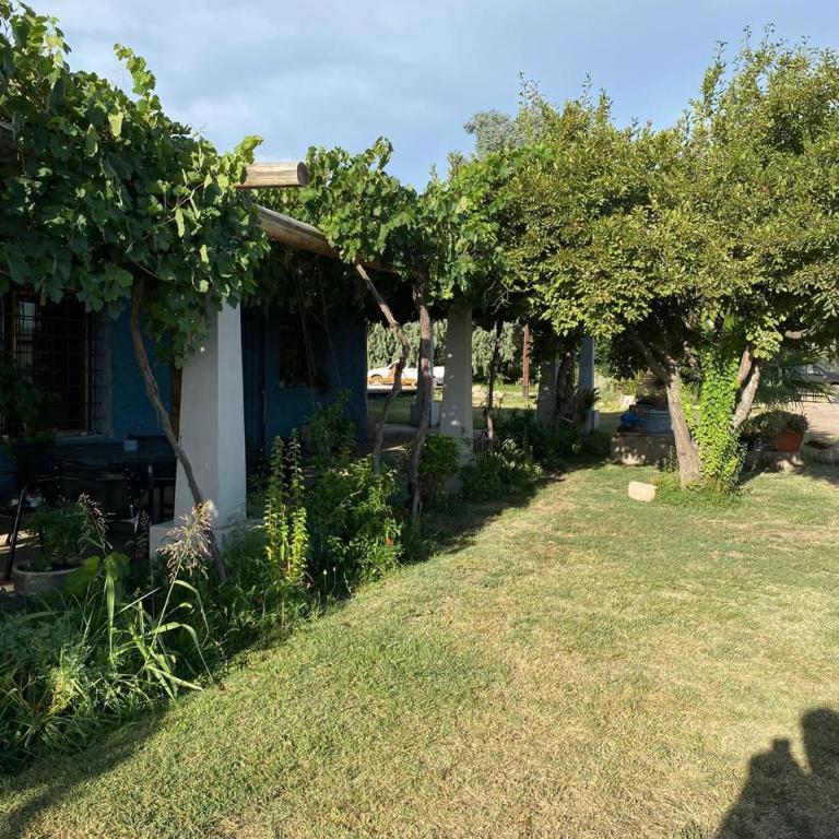 ENTRE VIÑAS RURAL - Casa de 3 dormitorios - 4