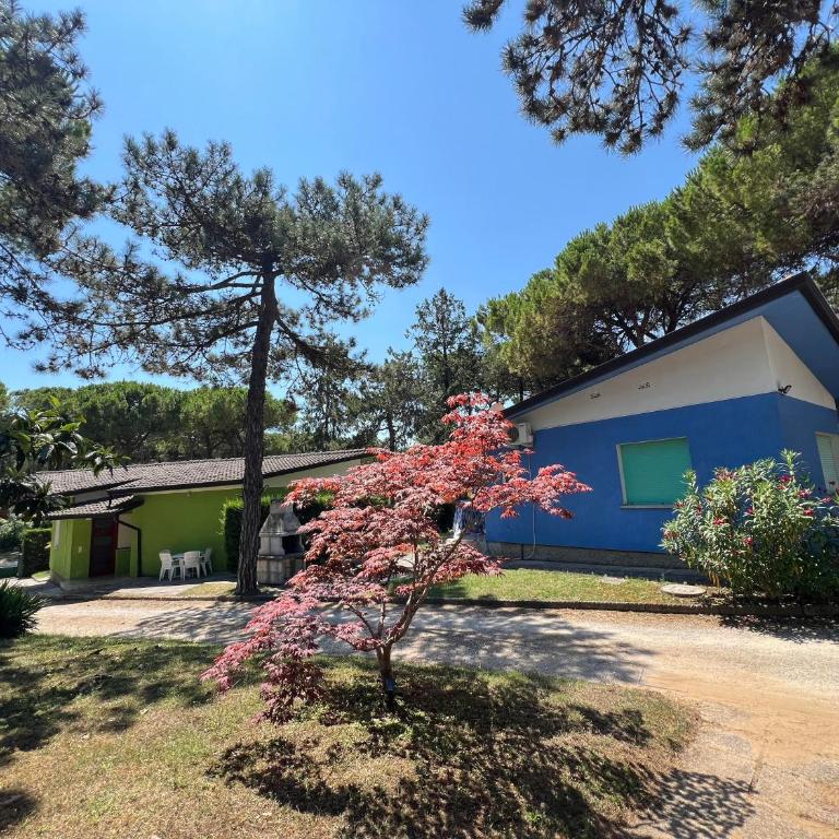 Ville Nelson Ninoska - One-Bedroom House - 1