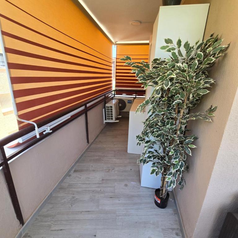 Apartamento ALZAHIR - Two-Bedroom Apartment - 8