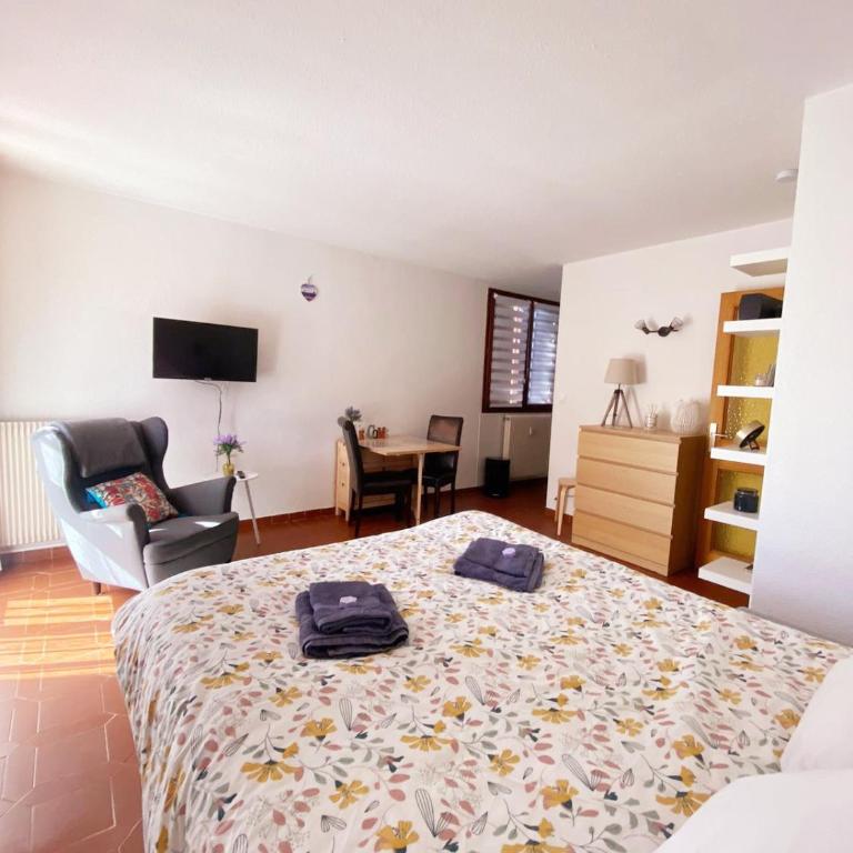 Parc paradis - Appartement - 4